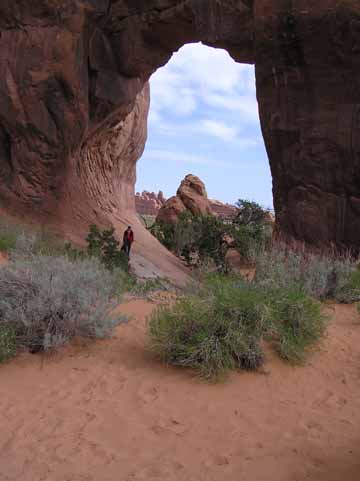 Pine Tree Arch Arches National Park